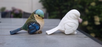 gekopieerde_vogel
